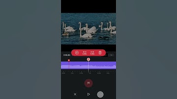 09.Music Beats 丨VN Video Editor App