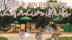 Click Here for Watch More Kids Movies 
