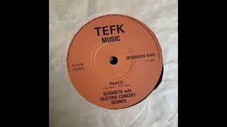 Elizabeth with Electric Concert Sounds - Peace
UK, 1980
TEFK Music
Thank you, Holden! Elizabeth with Electric Concert Sounds - Peace
