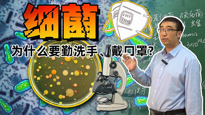 细菌对人类有什么作用？为什么要勤洗手、戴口罩？ - 天天要闻