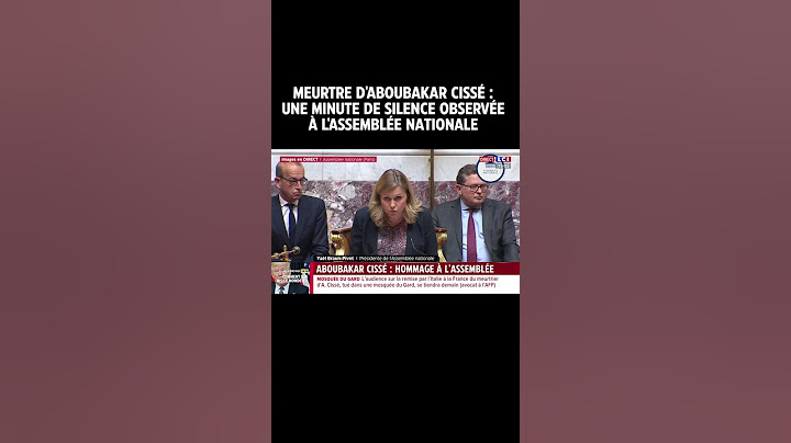 Meurtre d'Aboubakar Cissé : une minute de silence observée à l'Assemblée nationale｜TF1 INFO