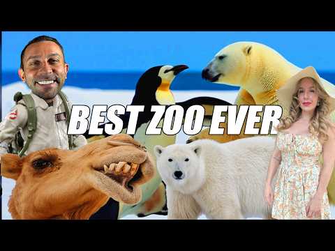 Top Zoos In The World: Experience Detroit Zoo's Magic In Michigan