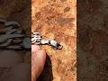inacretitavel 😱😱 #metaldetecting #detectorismo #brasil #noktasimplex #pratapgarh #song #instrumental