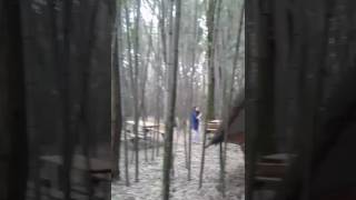 апацха в бамбуковой роще