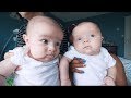 They're Getting So Big | Life Updates with Twins