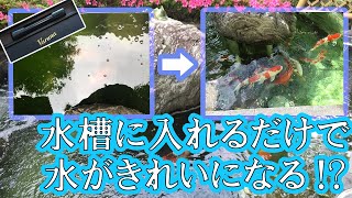 【Varuna】水槽に入れるだけで水がきれいになるヴァルナの紹介