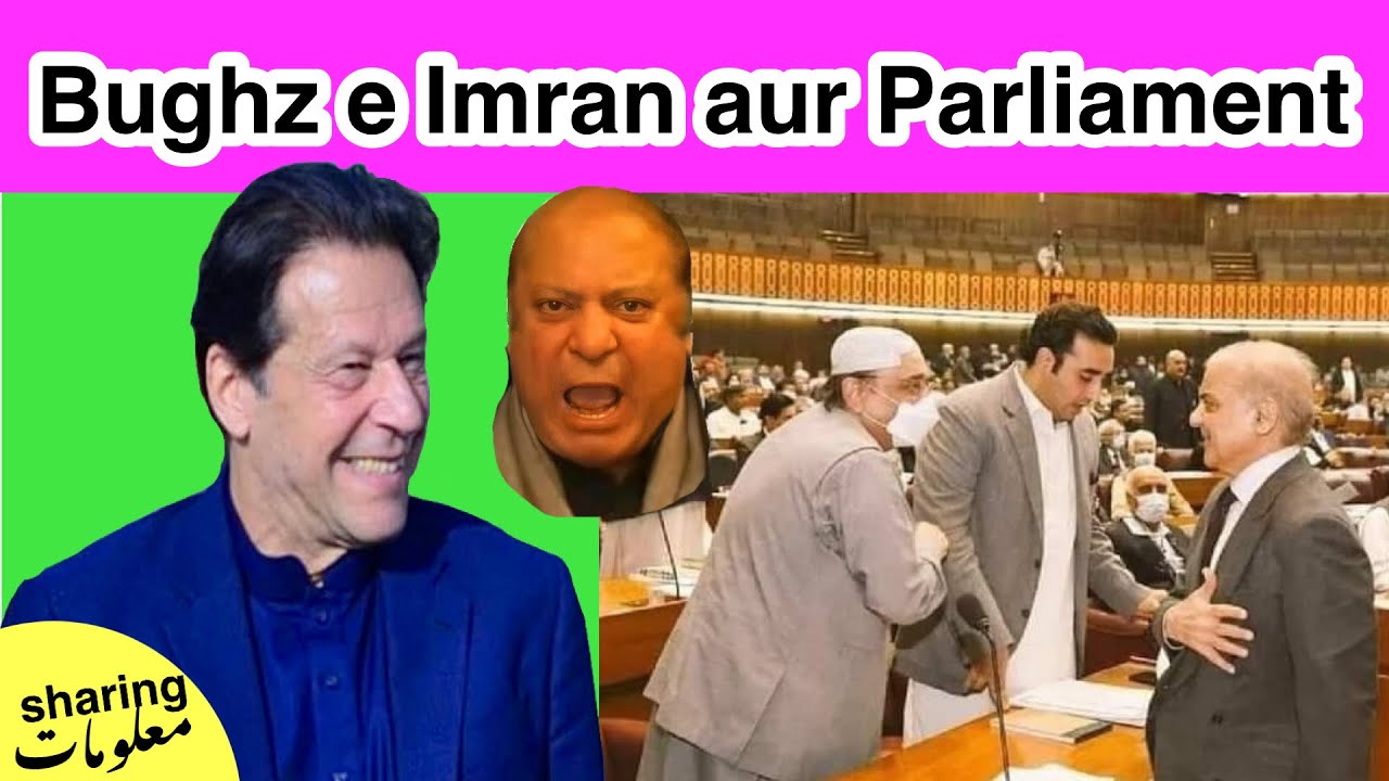 Bughz e Imran Khan aur Parliament Funny Moments | 