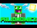 😅Palionowice #1🤩(pierwszy odcinek na kanale) #palion #minecraft