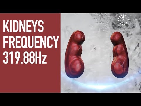 Healing Kidneys Frequency  》319.88Hz 》for Kidney Cleanse, Kidney Pain Relief