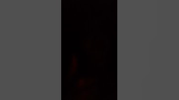 Day 163 of reading the bee movie script