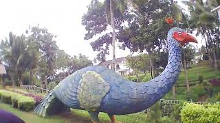 Holiday with Griselda at Akbar Zoo Banyuwangi | Mlaku-mlaku