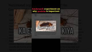 The cockroach experiment which revealed the importance of Protein - Prashant Desai