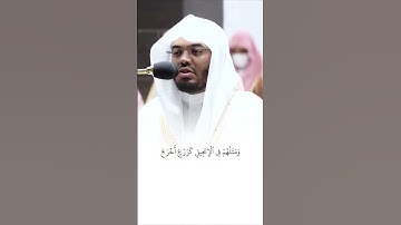 ماتيسر من سورة الفتح - فضيلة الشيخ أ.د. #ياسر_الدوسري