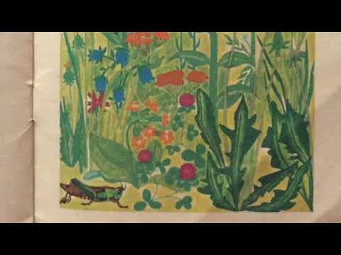 "Кто чем поёт", рассказ В. Бианки, аудиокнига