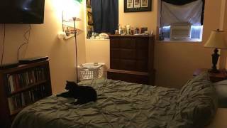 160 Salem St Unit 101, Haverhill MA 01835 - Condo - Real Estate - For Sale -