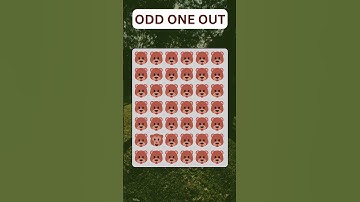 "Only Geniuses Can Crack This Riddle! Can You? 🧠✨" #brainteasers   #challenge   #riddles   #funny