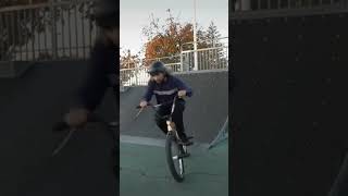 Tailwhips are cool #shorts