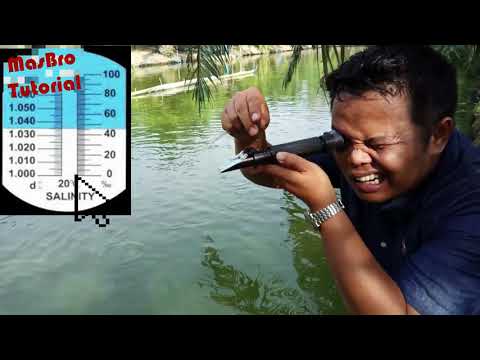 TUTORIAL CARA MENGGUNAKAN REFRACTOMETER LENGKAP UNTUK MENGUKUR KADAR GARAM SALINITY