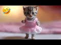 New Funny Animals 2023 😍😄 Funniest Cats and Dogs Videos 🐶😻 Part 2