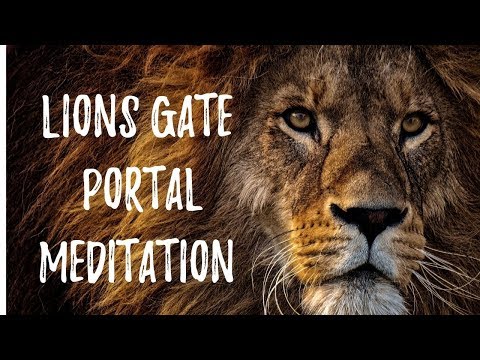 Lions Gate Portal Meditation | Guided 88 manifesting meditation for lionsgate