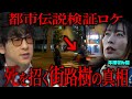 【都市伝説】●を招く街路樹を張り込み調査した結果【牛抱せん夏ロケ】