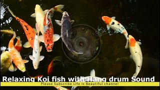 Relaxing Koi fish with Hang Drum | Positive energy | Good vibes | 432 Hz 4♬♬♬♬♬ screenshot 5