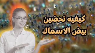 كيفيه تحضين بيض الاسماك _ احواض اسماك الزينة??