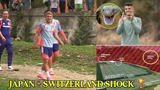 World Cup Chaos Begins: Japan Pitch Issue & Switzerland Snake Zone 😳⚽🐍 #WorldCup2026 #Switzerland