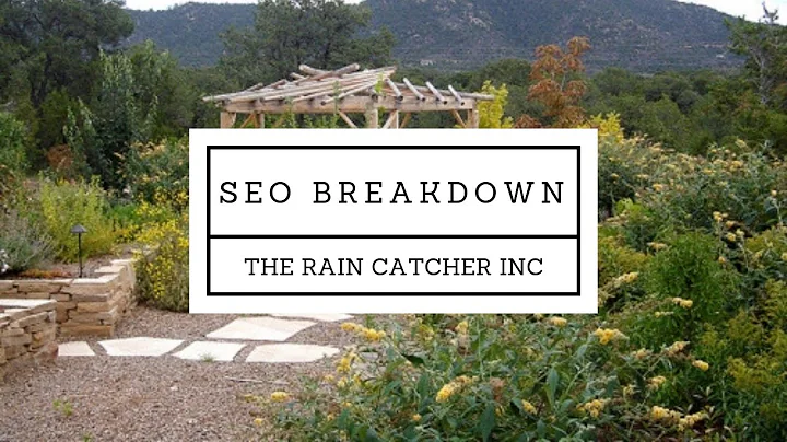 [SEO chuyên nghiệp] Phân tích dự án SEO của khách hàng EZJ | The Rain Catcher Inc