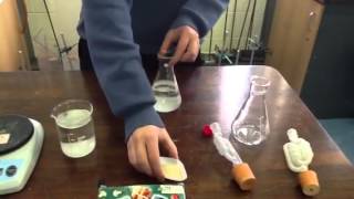 Anaerobic Respiration by Yeast