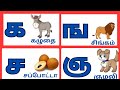 Uyirmei Ezhuthukkal.உயிர்மெய் எழுத்துக்கள். க ங ச ஞ. Tamil Alphabets. #learningtamil #kidslearning
