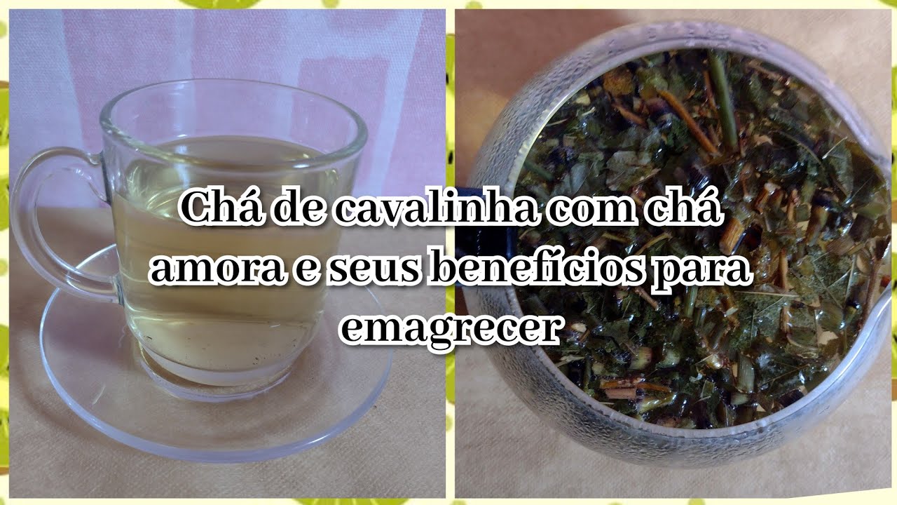 Chá de cavalinha com chá amora e seus benefícios para emagrecer - YouTube