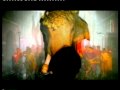 Amazing Thailand 1998 1999 Mp4 
