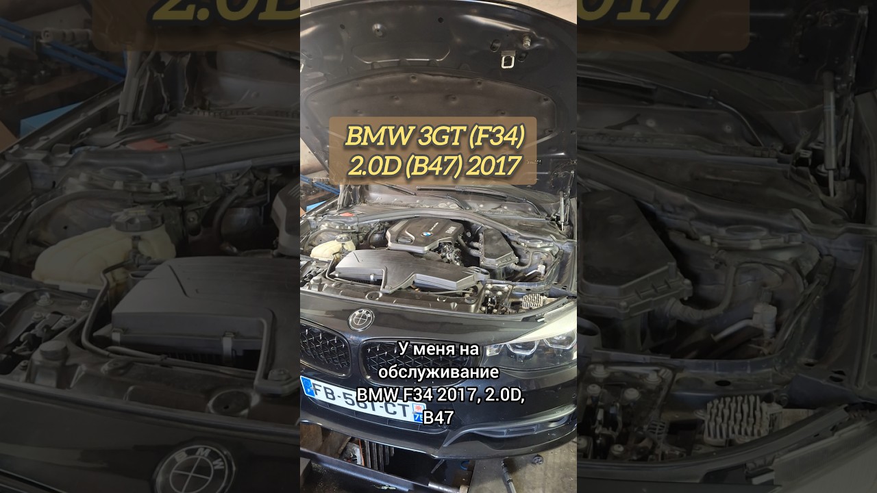 Как должен выглядеть двигатель 