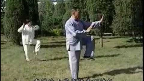 Hunyuan Taichi 24 - Feng Zhi Qiang