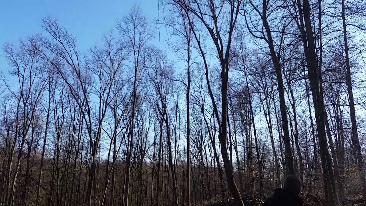 Big Poplar Lake Buckhorn YouTube