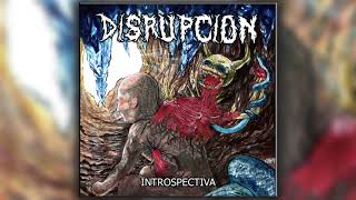 Disrupcion - Agonia Natural [Argentina] [HD] (+Lyrics)