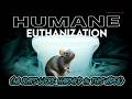 How to humanely euthanize feeder rodents | No rodents harmed in this video