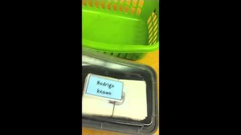 Video Tutorial - Fluency Station