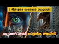 மூளையை கட்டுப்படுத்தும் உயிரினம்! 🐜 - 5 Shocking Real Life Events! 😱 #TamilFacts