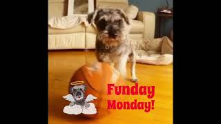 Funday Monday
