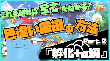 ポケモン剣盾 これを観れば全てがわかる 色違い厳選講座 色違いの基本 確率 エフェクト ブロックルーチン等編 1 ゆっくり実況 ゆっくり解説 Mp3 ポケモン剣盾 これを観れば全てがわかる 色違い厳選講座 色違いの基本 確率 エフェクト ブロックルーチン等編 1 ゆっくり実況 ゆっくり解説 Mp3