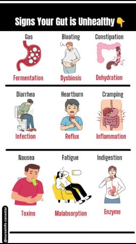 Signs Your Gut is Unhealthy
