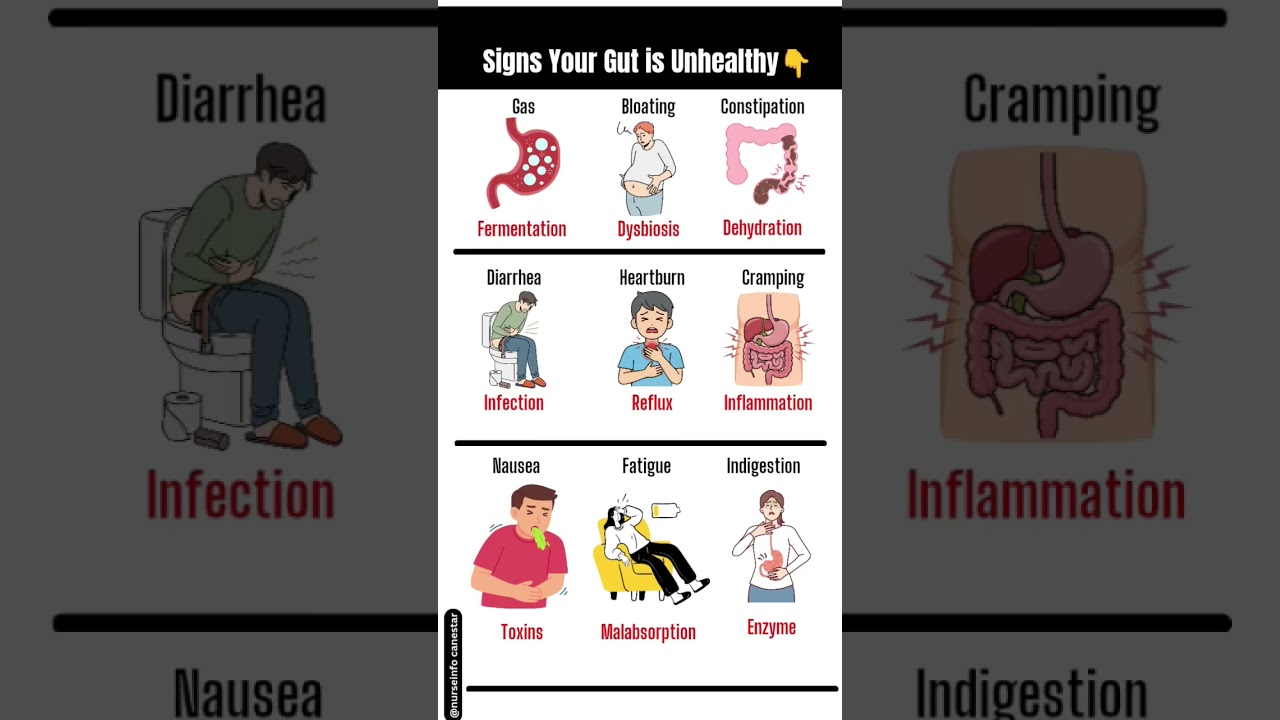 Signs Your Gut is Unhealthy