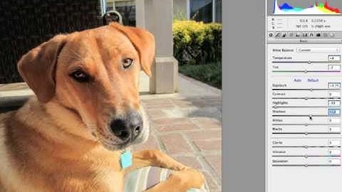 Import Images & Edit with Photoshop (Camera Raw)