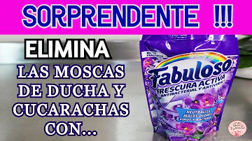 ¿A las cucarachas les gusta el olor a vinagre?