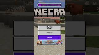 Join This INSANE Mining Server in Minecraft Java and Bedrock
