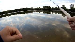 Ловля плотвы тенкарой на мушку • Пруд и речка • Рыбалка в Москве