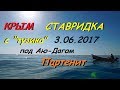 Ставрида с лодки в Партените 3.06.2017 (пикша, окунь, барабулька, дракон)