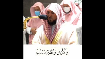 تلاوة مرئيه ماهر المعيقيلي سورة النور  | الم تر ان الله يسبح له من في السموات والارض